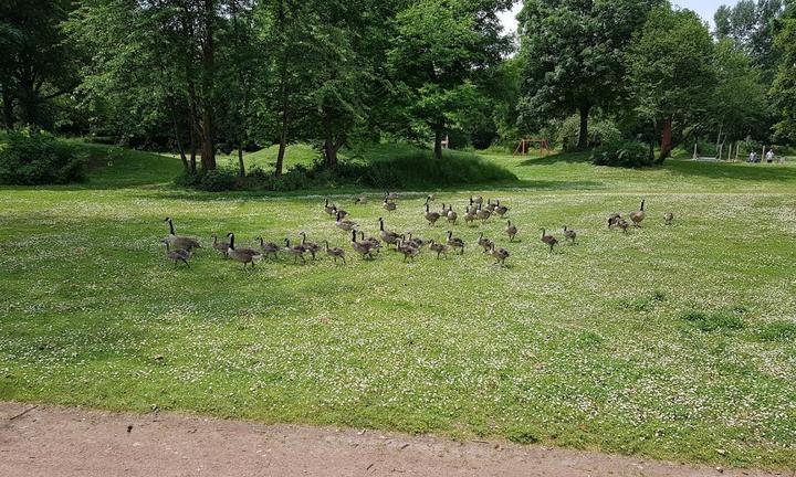 Gaststätte am Park